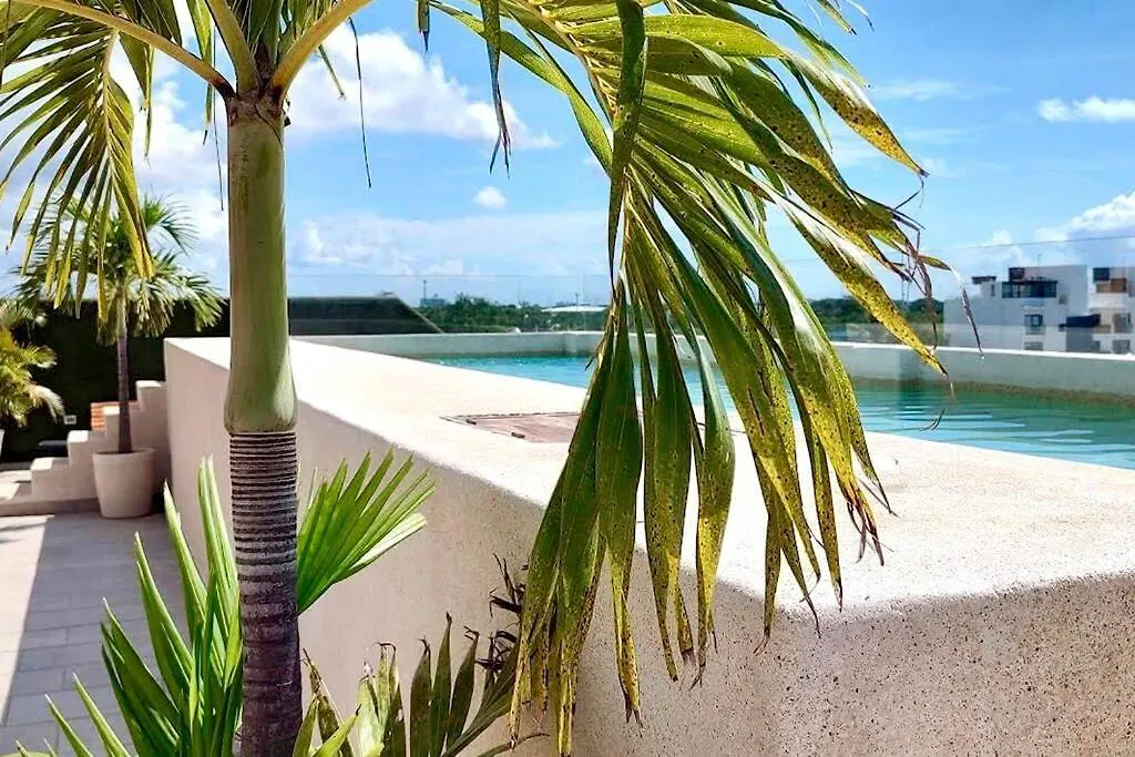 Appartement Beautiful And Zen Studio Suite By Uniko Vacation Playa del Carmen